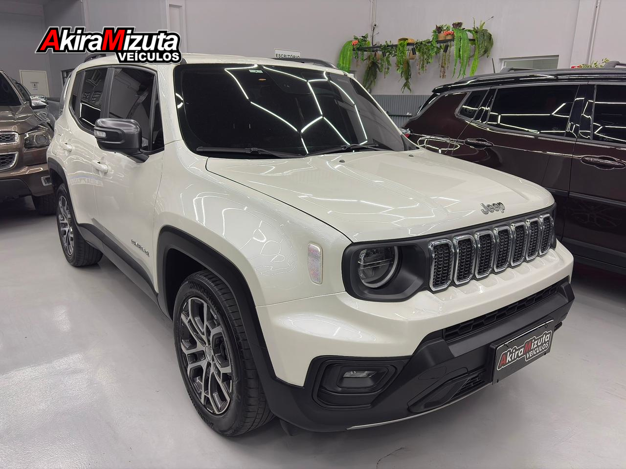 Imagem não encontrada