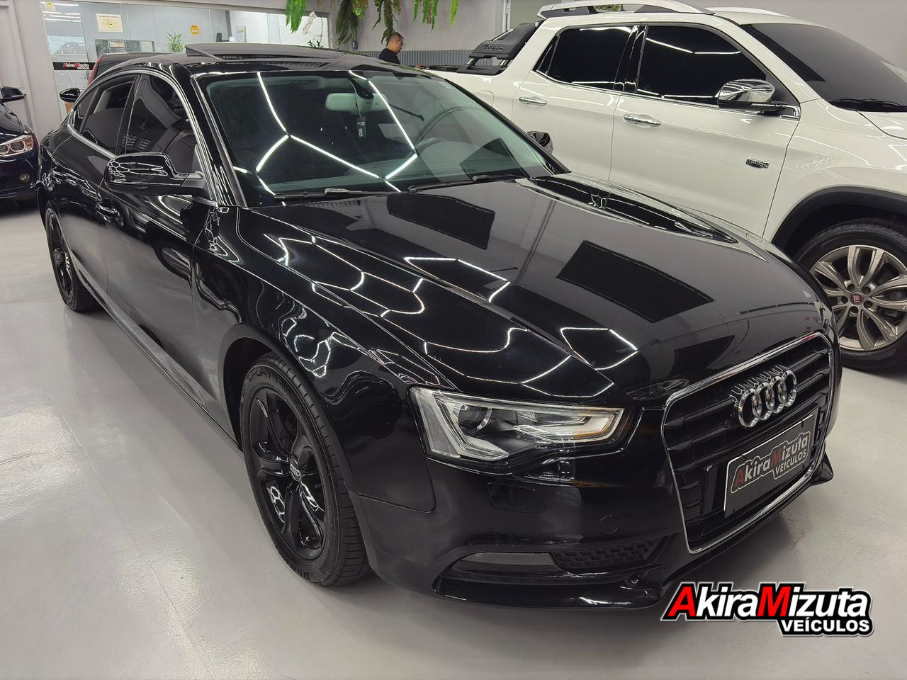 Imagem não encontrada