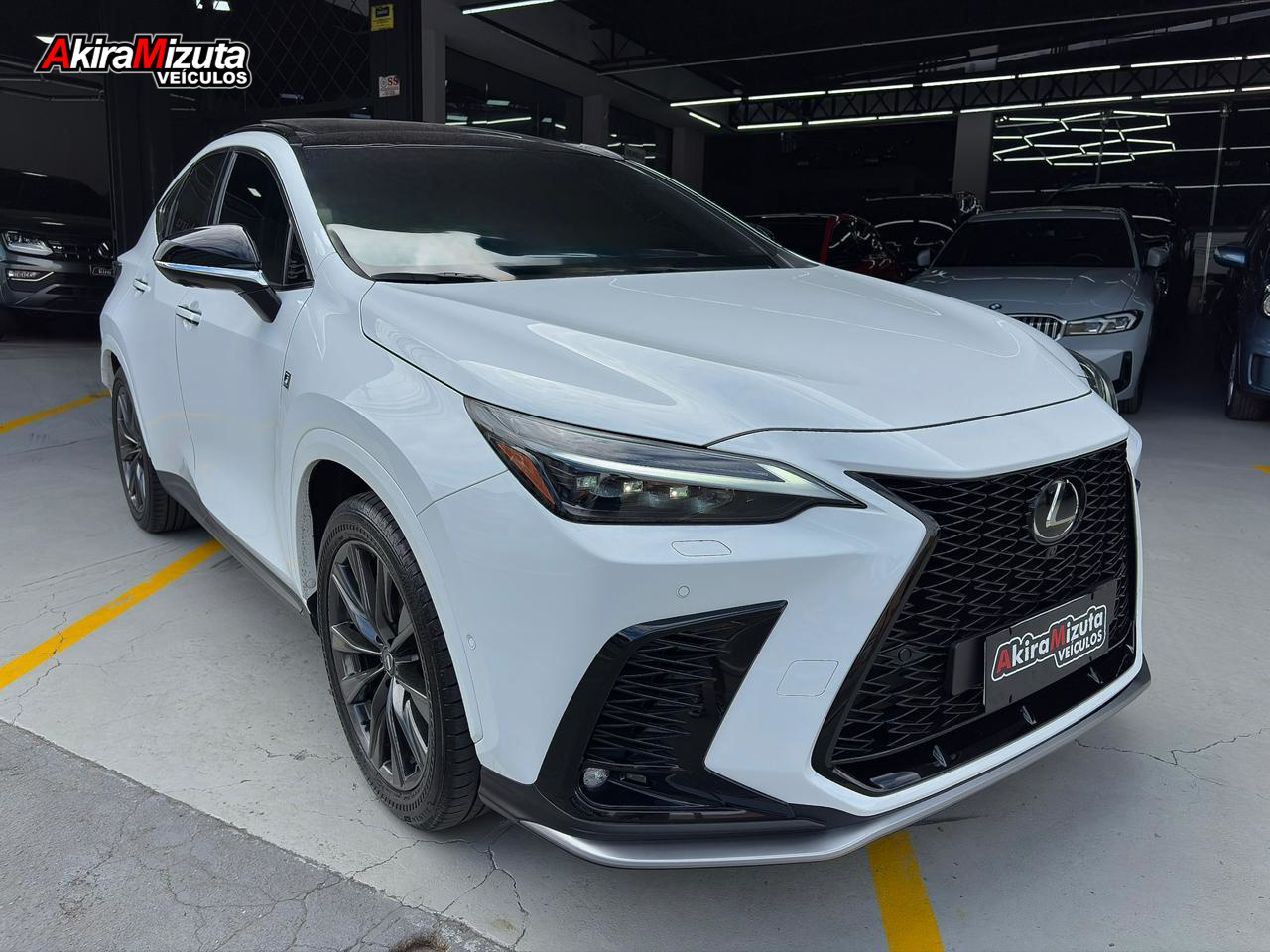 Imagem não encontrada